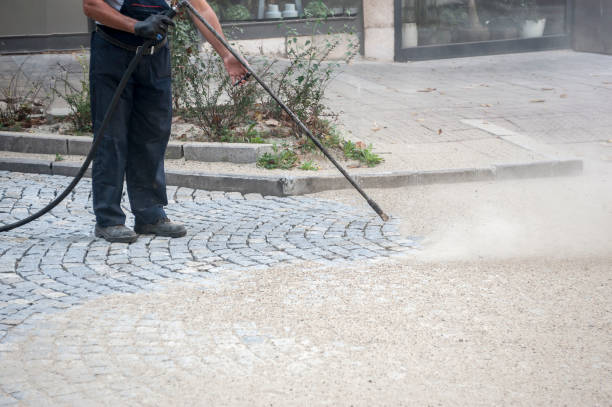 Best Boat and Dock Cleaning  in Southern View, IL